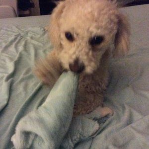 Meet your Posher, Laura